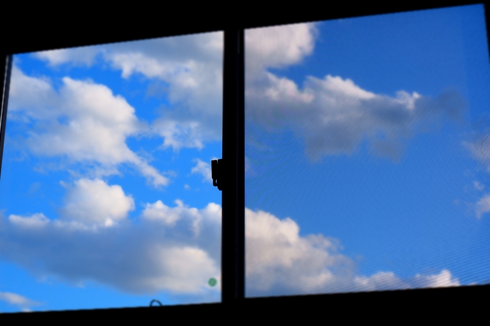 窓 青空.jpg